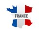 logo article ou rubrique